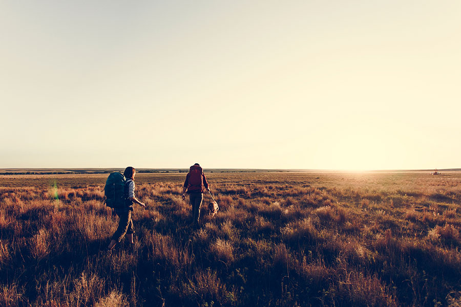 Mentorías de emprendimiento para psicólogas